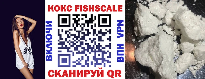 Кокаин FishScale  Купить закладки  Борзя 