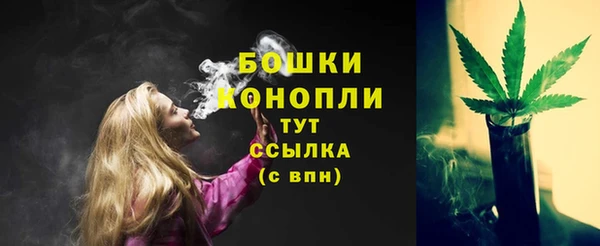 ПСИЛОЦИБИНОВЫЕ ГРИБЫ Балабаново