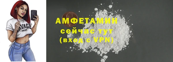 ПСИЛОЦИБИНОВЫЕ ГРИБЫ Балабаново