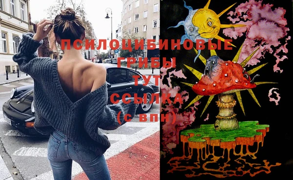 винт Балахна
