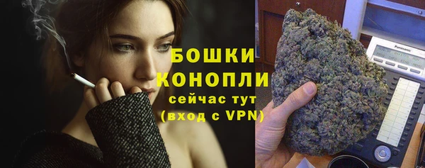 ПСИЛОЦИБИНОВЫЕ ГРИБЫ Балабаново