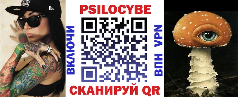 Купить закладки  Борзя  Галлюциногенные грибы мицелий 